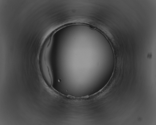 X0000091560936200708311412