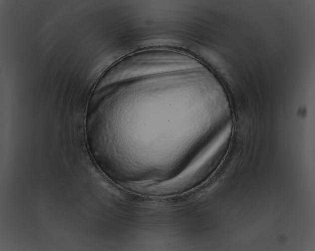 X0000091560937200708311412