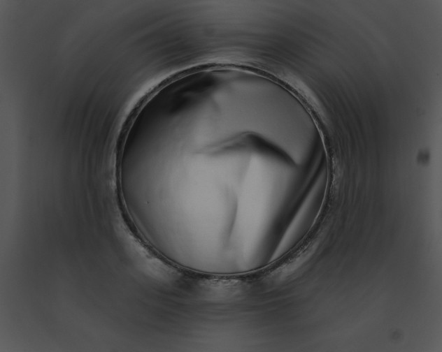 X0000091560939200708311412