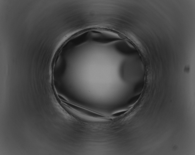 X0000091560940200708311412