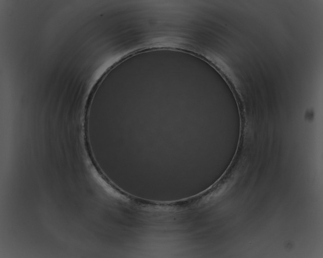 X0000091560941200708311412