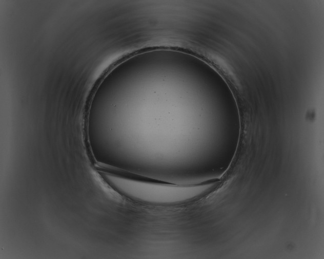 X0000091560942200708311412