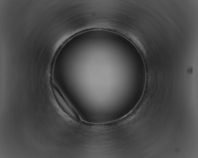 X0000091560944200708311412