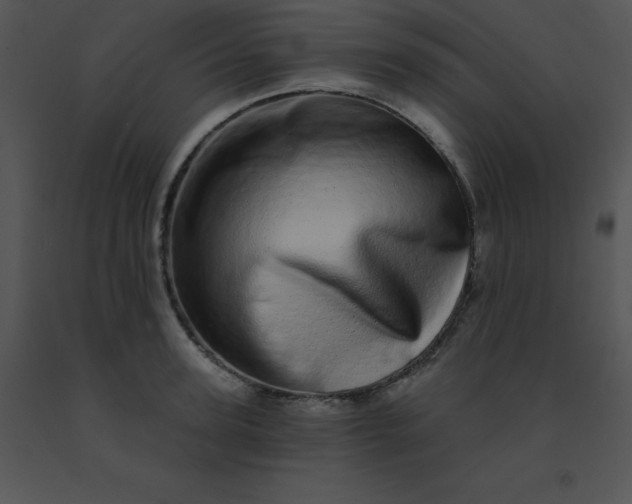 X0000091560947200708311412