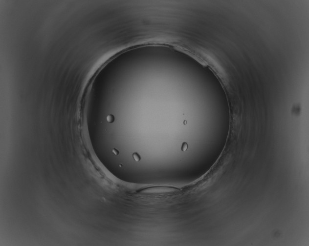 X0000091560948200708311412