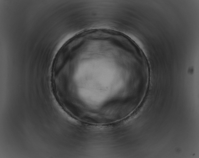 X0000091560949200708311412