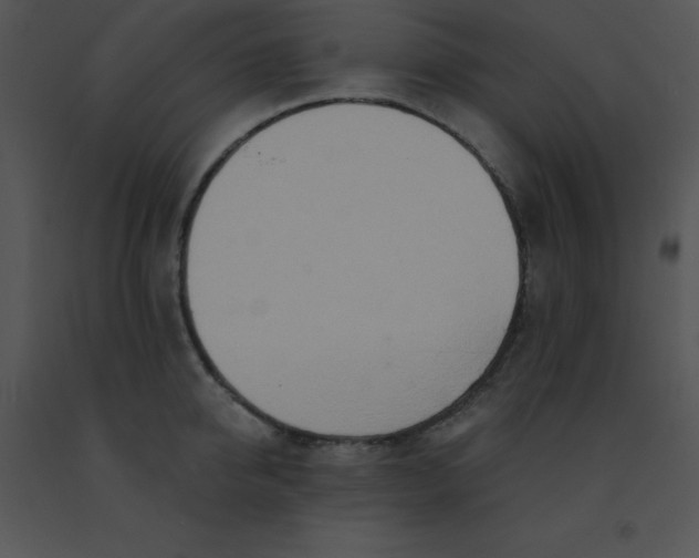 X0000091560950200708311412