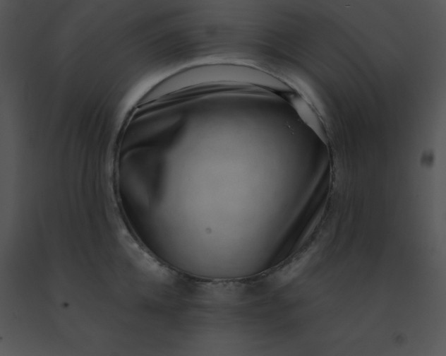 X0000091560952200708311412