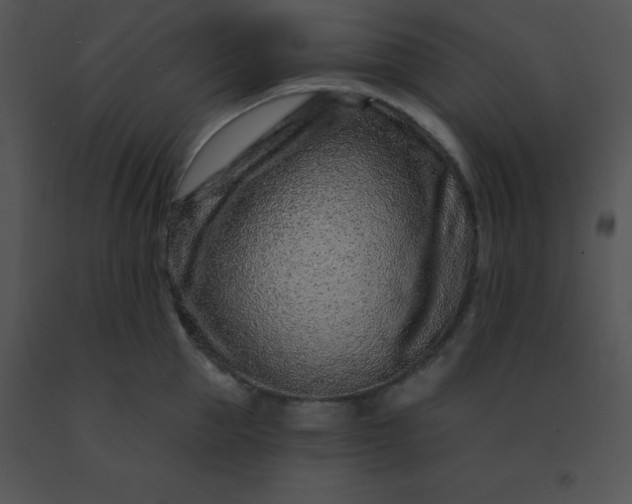 X0000091560953200708311412