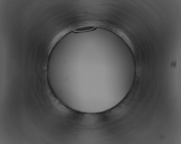 X0000091560954200708311412