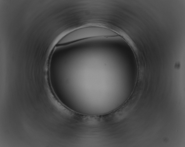 X0000091560955200708311412