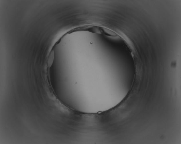 X0000091560956200708311412