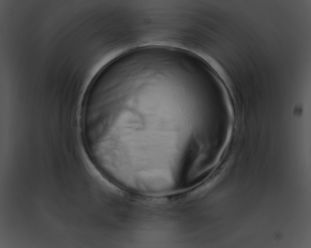 X0000091560957200708311412