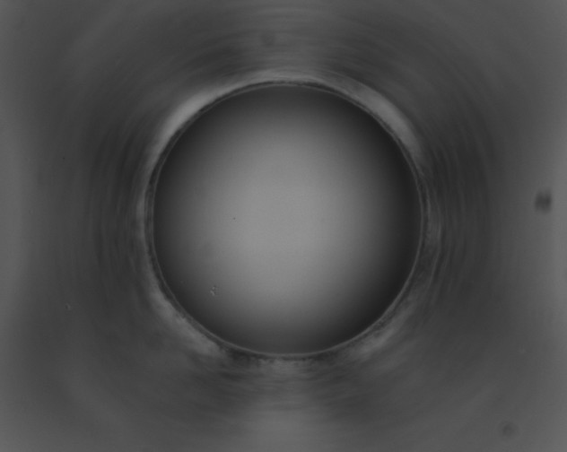 X0000091560958200708311412