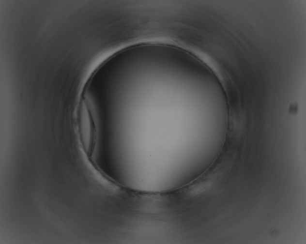 X0000091560959200708311412