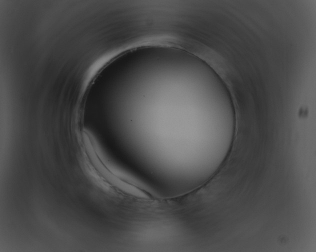 X0000091560960200708311412