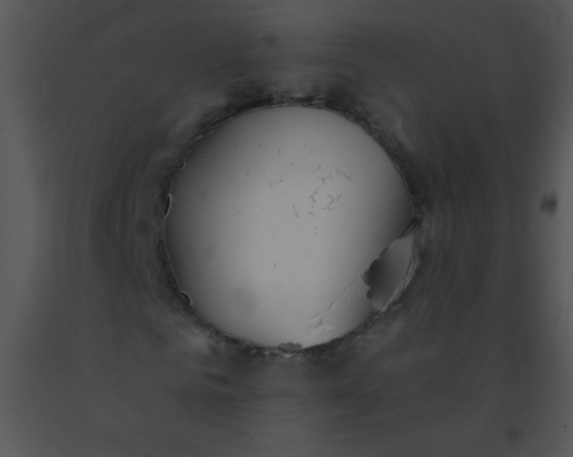 X0000091560961200708311411