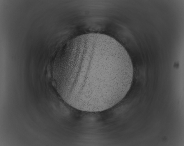 X0000091560962200708311411