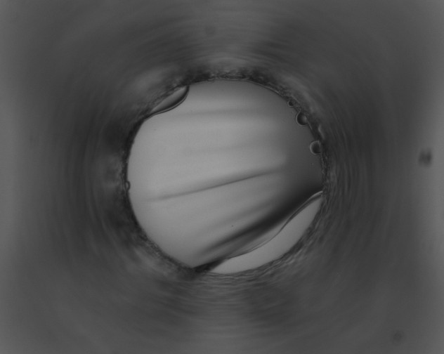 X0000091560964200708311411