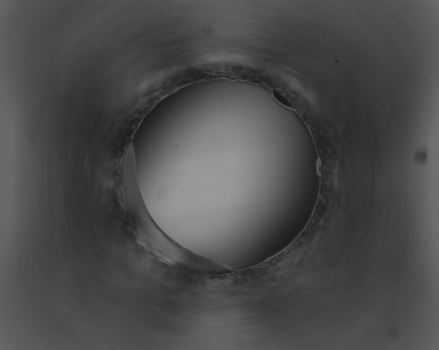 X0000091560965200708311411