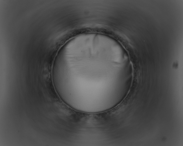 X0000091560966200708311411