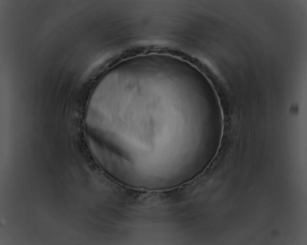 X0000091560967200708311411