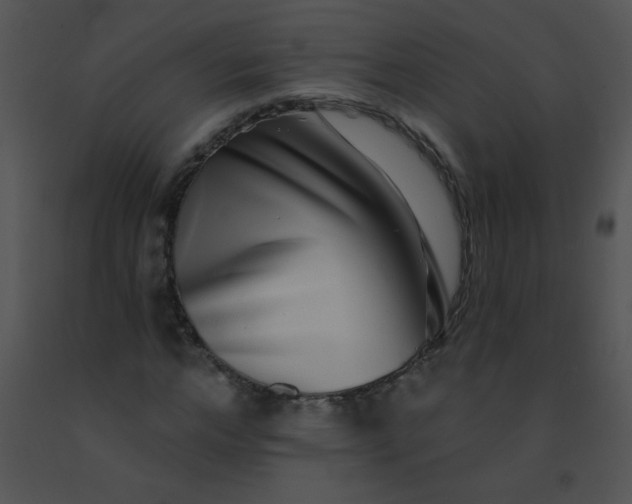 X0000091560968200708311411