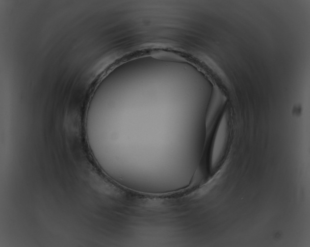 X0000091560969200708311411