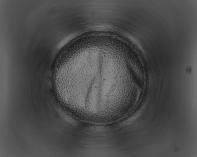 X0000091560970200708311411