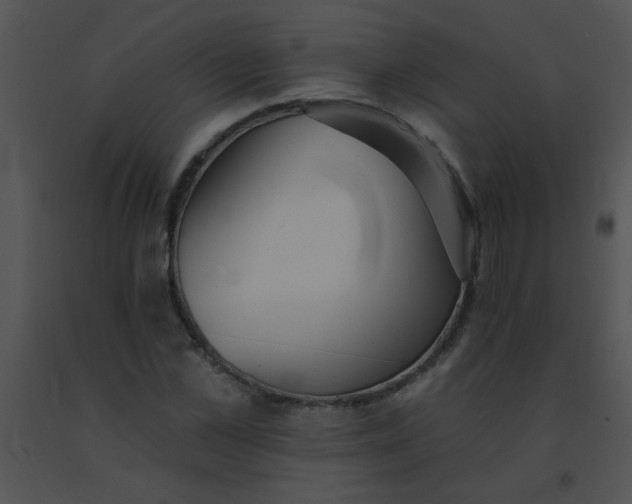 X0000091560973200708311411