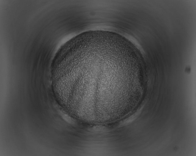 X0000091560974200708311411