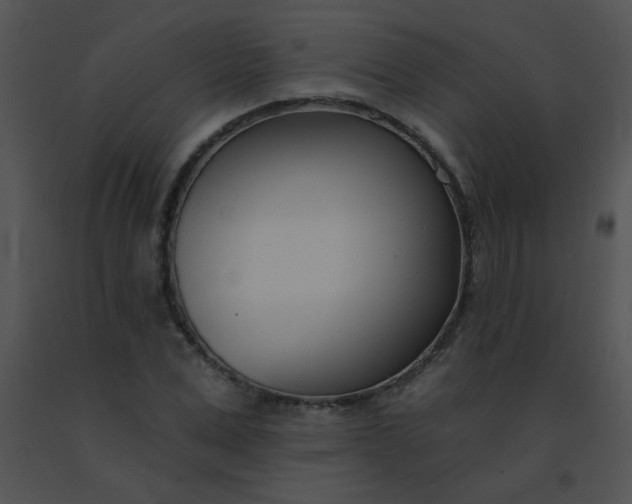 X0000091560975200708311411