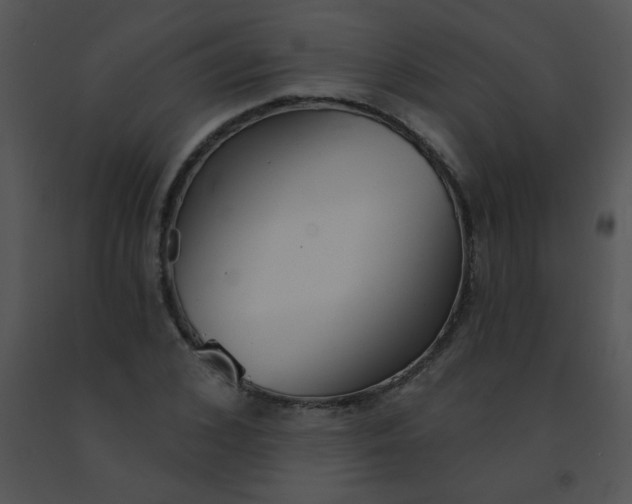 X0000091560976200708311411