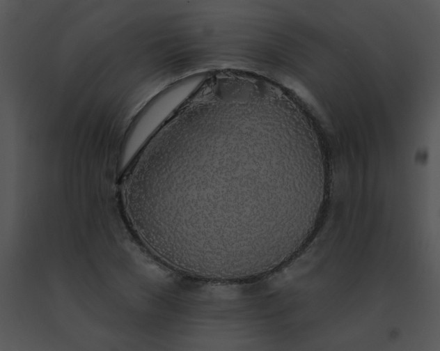 X0000091560977200708311411