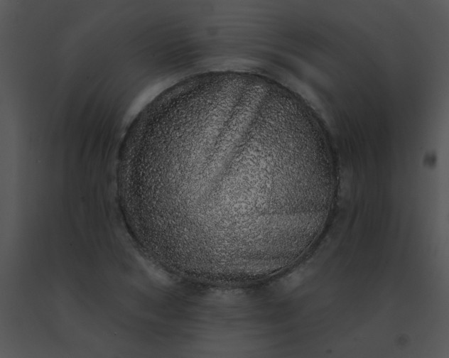 X0000091560978200708311411