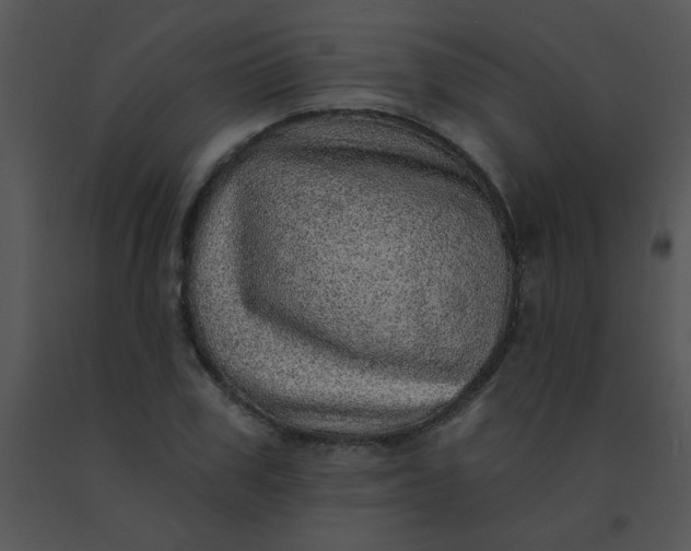 X0000091560979200708311411