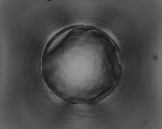 X0000091560980200708311411