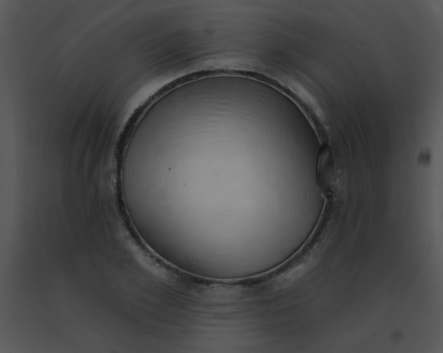 X0000091560981200708311411