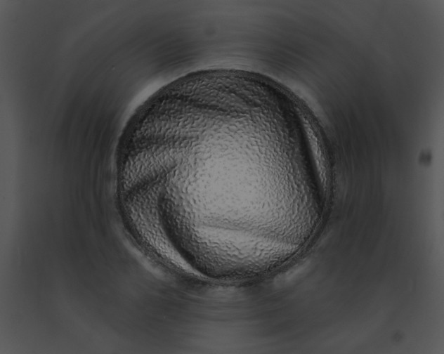 X0000091560982200708311411