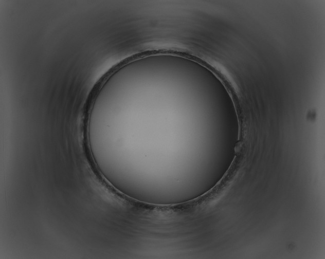 X0000091560983200708311411