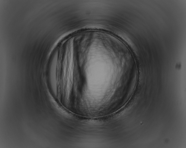 X0000091560984200708311411