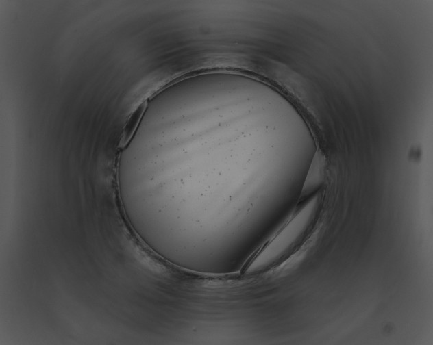 X0000091560985200708311411