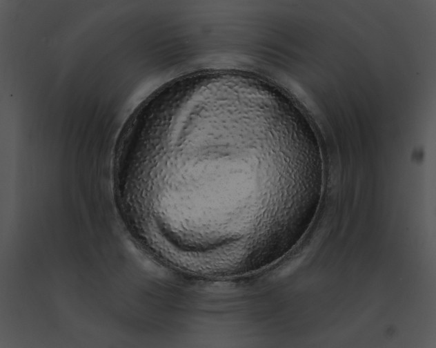 X0000091560986200708311411