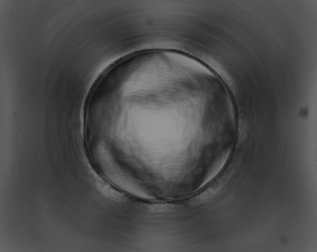 X0000091560988200708311411