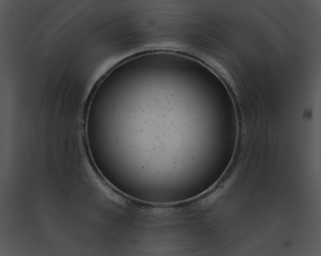 X0000091560989200708311411