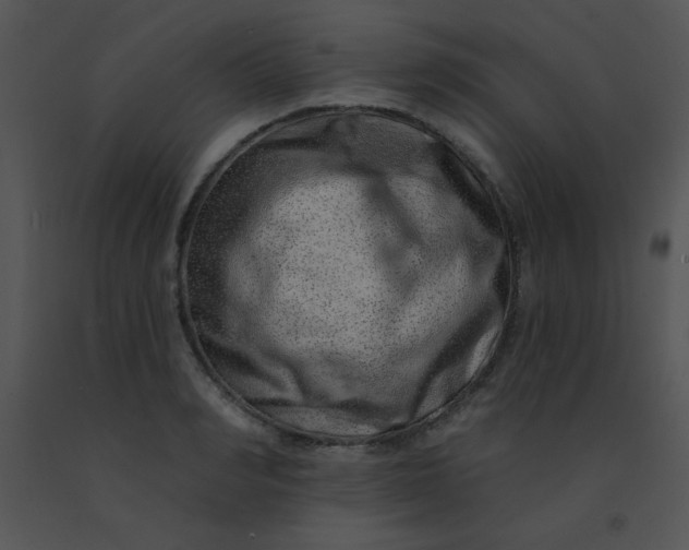 X0000091560990200708311411