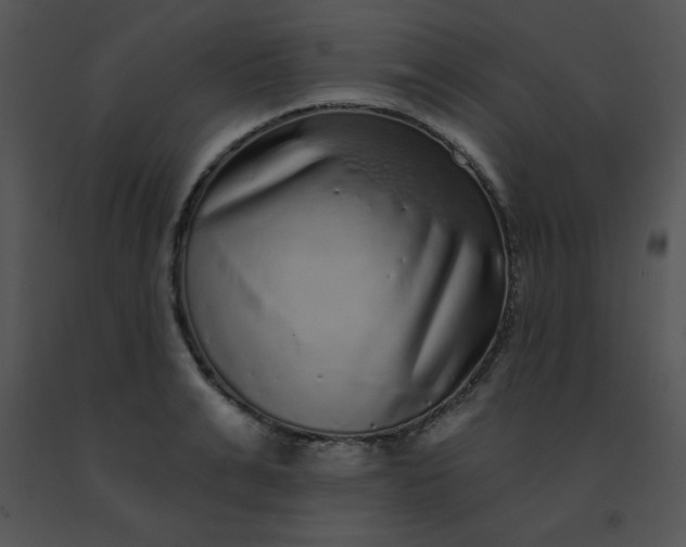 X0000091560991200708311411