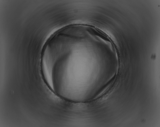 X0000091560992200708311411