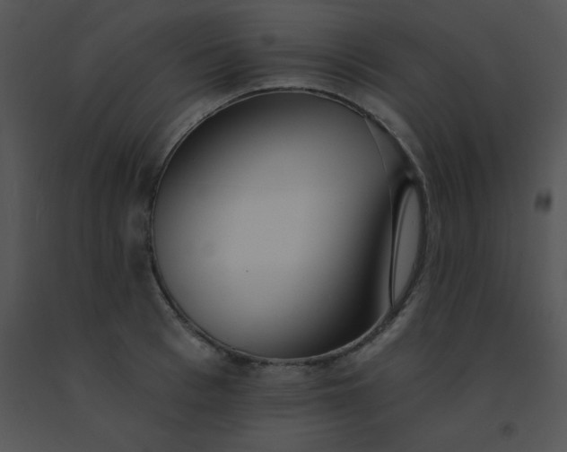 X0000091560993200708311411