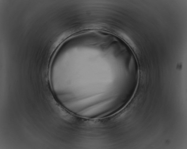 X0000091560994200708311411